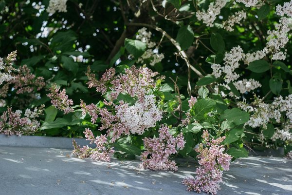 Rénover à sainte maxime : egc construction, votre expert local.