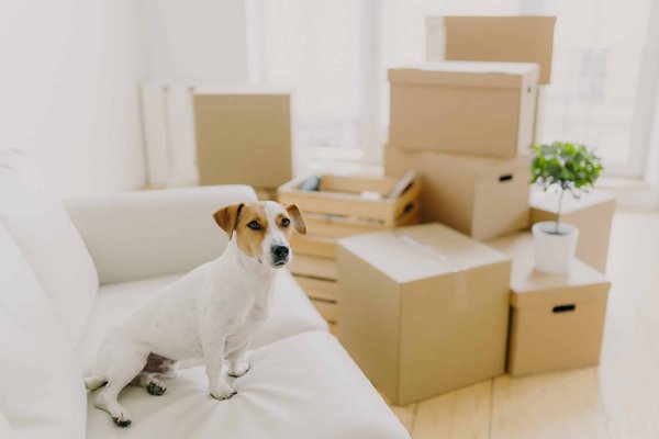Comment créer un coin lecture confortable dans un petit salon ?