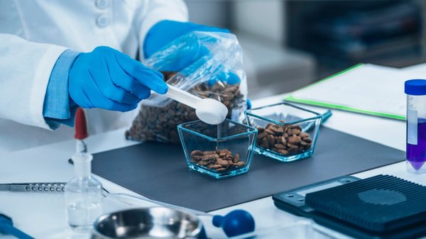 Comprendre la valeur au bleu de méthylène pour vos sols